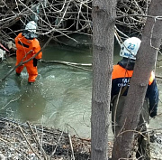 Спасатели устранили затор из упавших деревьев в русле реки в Новосибирске
